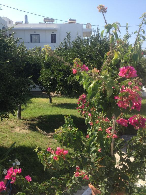 Manos Pension Faliraki Dış mekan fotoğraf