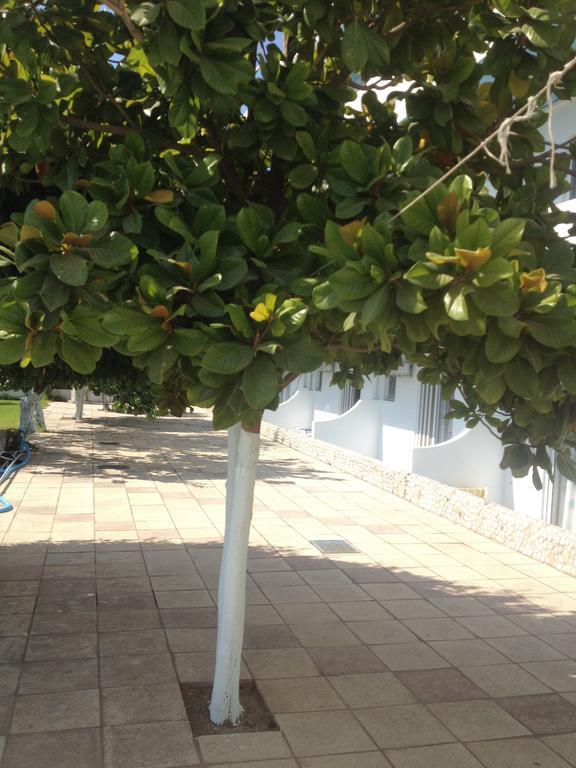 Manos Pension Faliraki Dış mekan fotoğraf